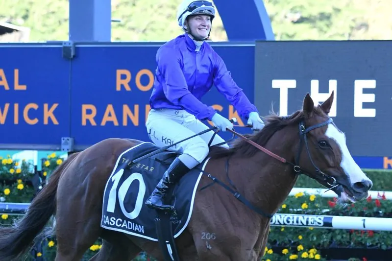 CASCADIAN SUITED IN ALL-STAR MILE Image