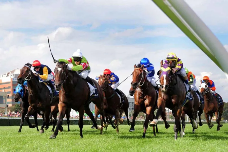 Our Black Book: Horses You Must Follow From Caulfield 11/5 Image