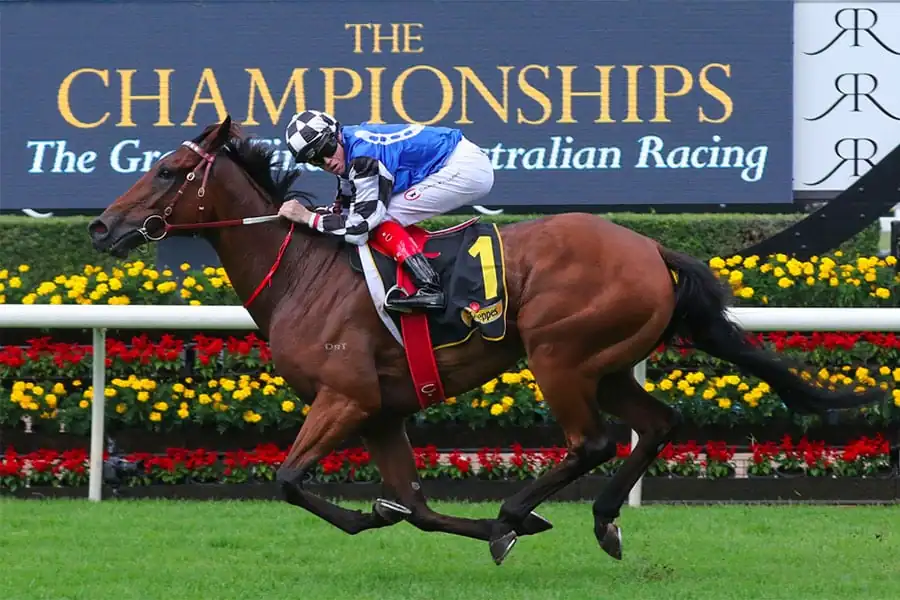Randwick Tip Sheet & Staking Plan: Saturday 17th April Image