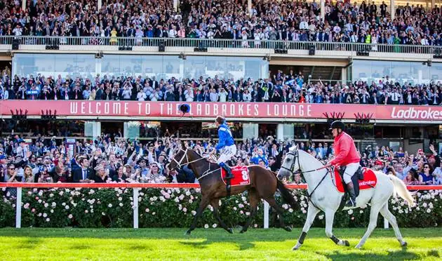 Moonee Valley Tip Sheet & Staking Plan: Saturday 22nd August Image