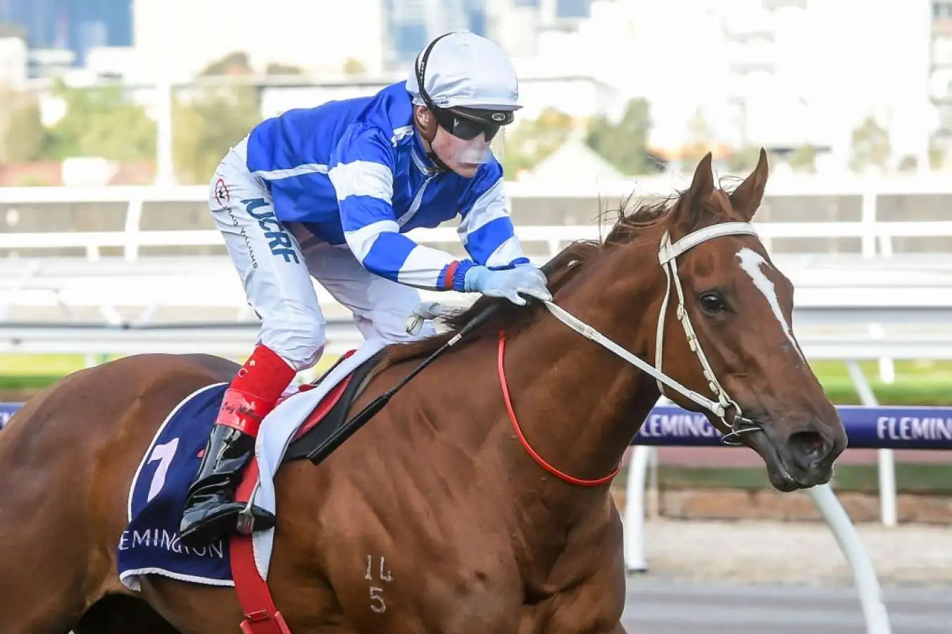 Horses You Must Follow From Randwick 5th September Image
