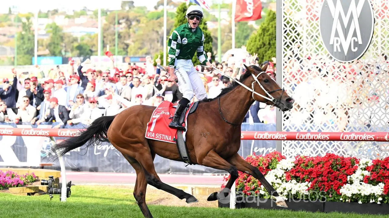 FREE: Flemington Tip Sheet & Staking Plan: Saturday 9th November Image