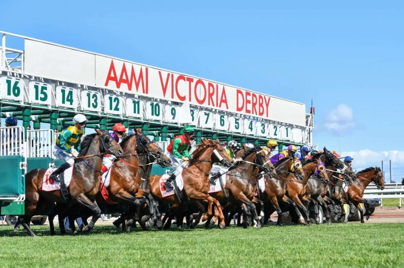 Flemington Tip Sheet & Staking Plan: Saturday 31st October Image