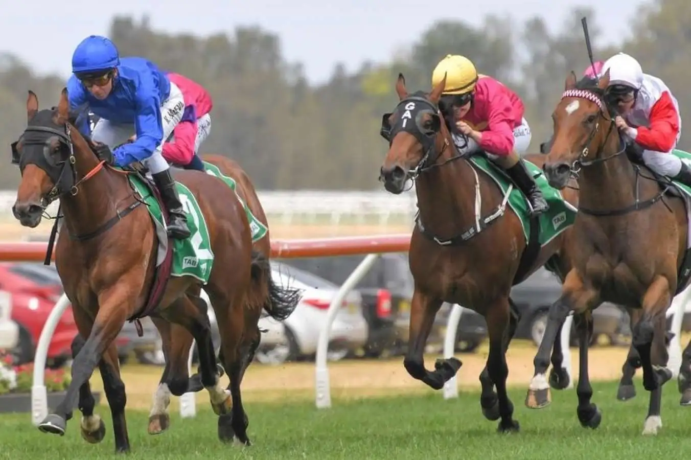 Our BlackBook & Trial Runners: Horses Running Today & Staking Plan 3/11 Image