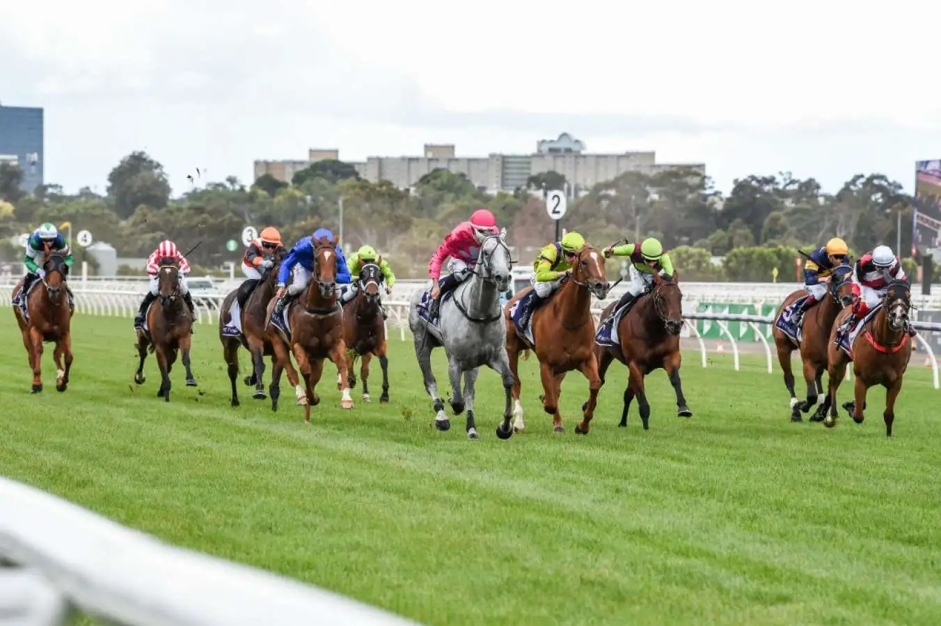 Horse To Follow & Horse To Sack From Flemington – Saturday 16th January Image