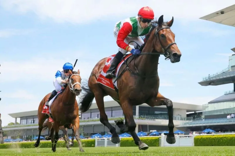FREE: Rosehill Saturday 10th September – Our Selections Image