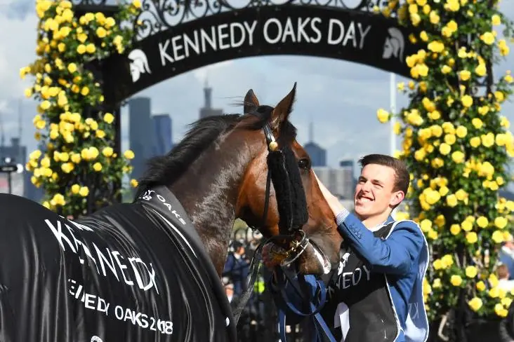 Flemington Tip Sheet & Staking Plan: Thursday 5th November Image