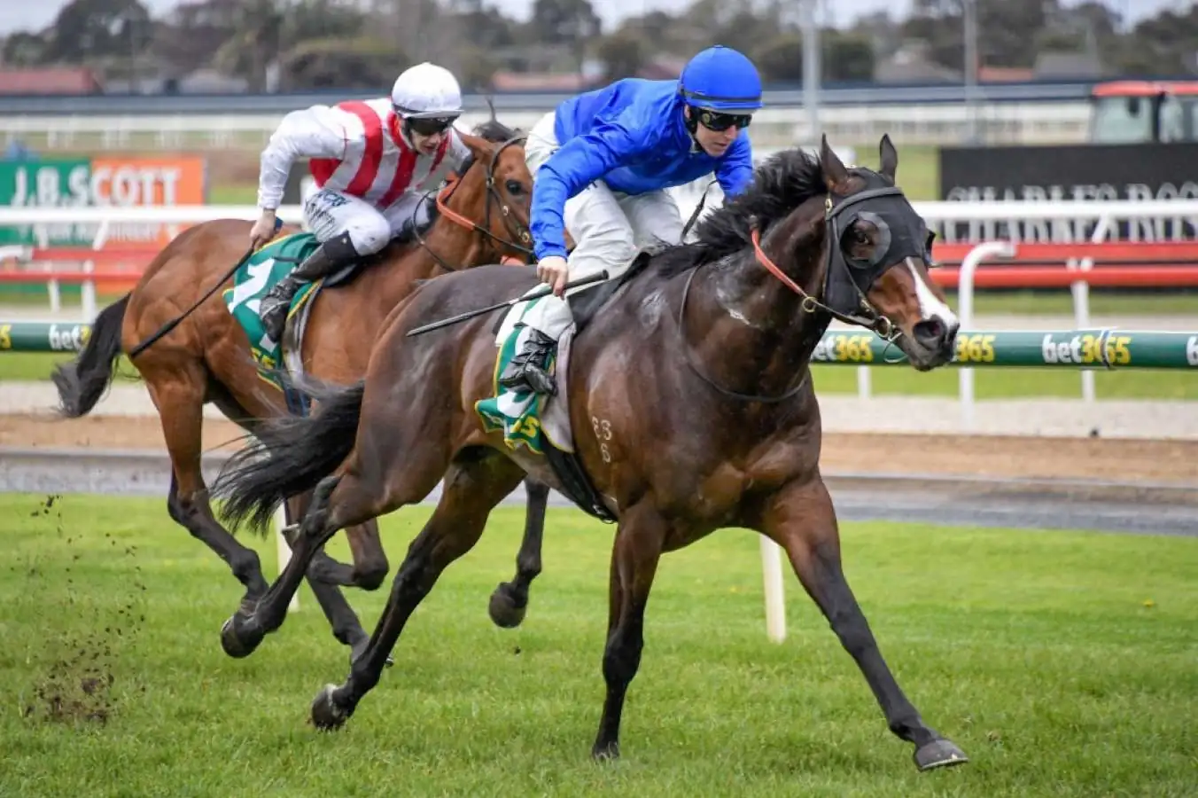 Horses You Must Follow From Randwick 3rd October Image
