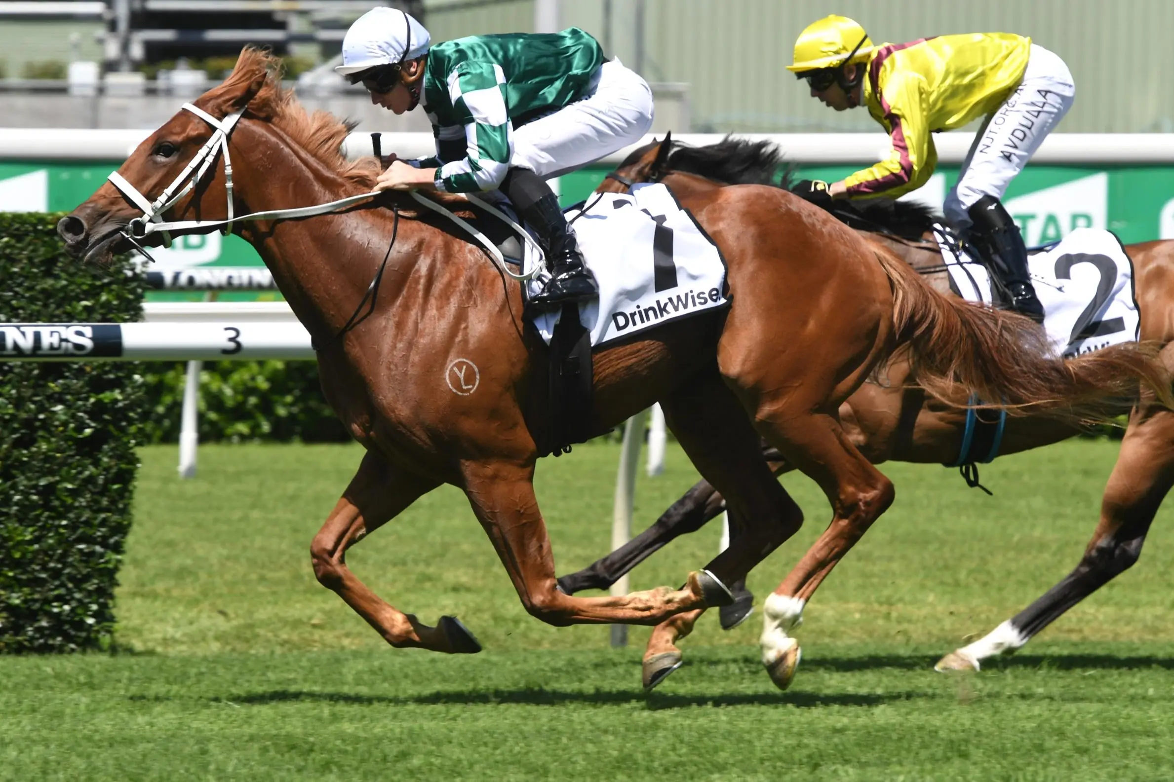 Our BlackBook & Trial Runners: Horses Running Today & Staking Plan 19/9 Image