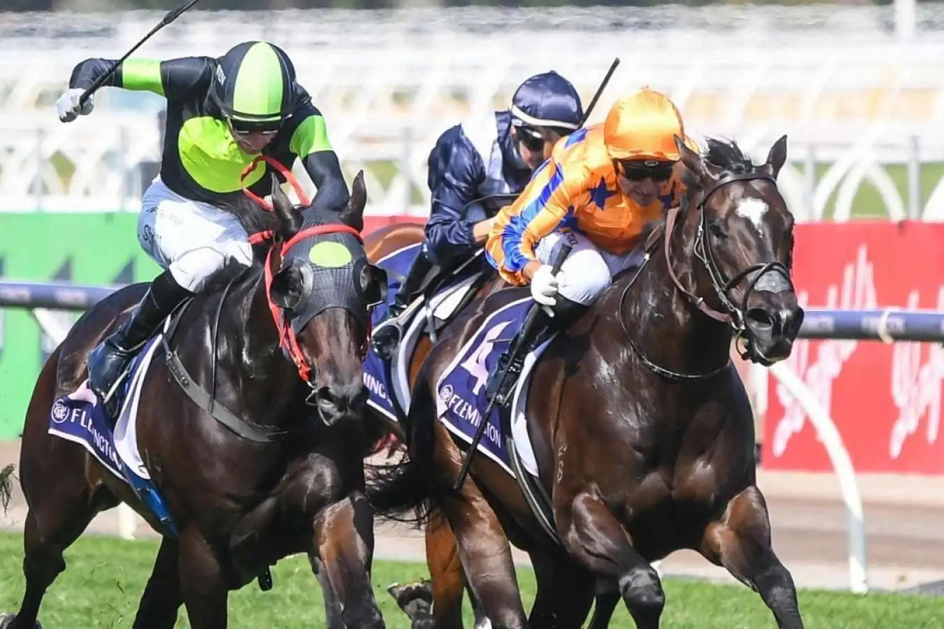 FREE: Flemington Tip Sheet & Staking Plan: Saturday 9th March Image