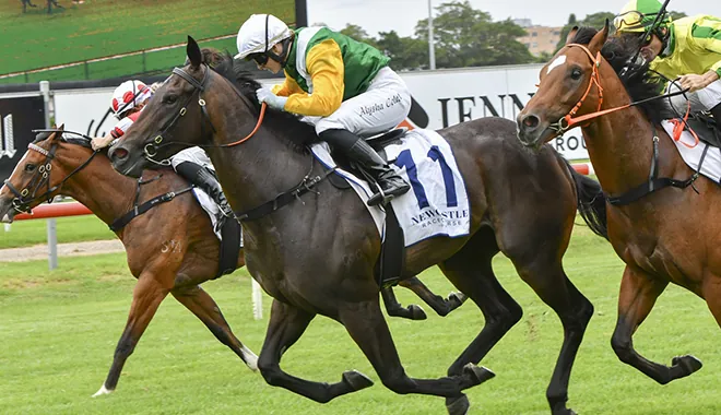 FREE: Caulfield Tip Sheet & Staking Plan: Saturday 9th July Image