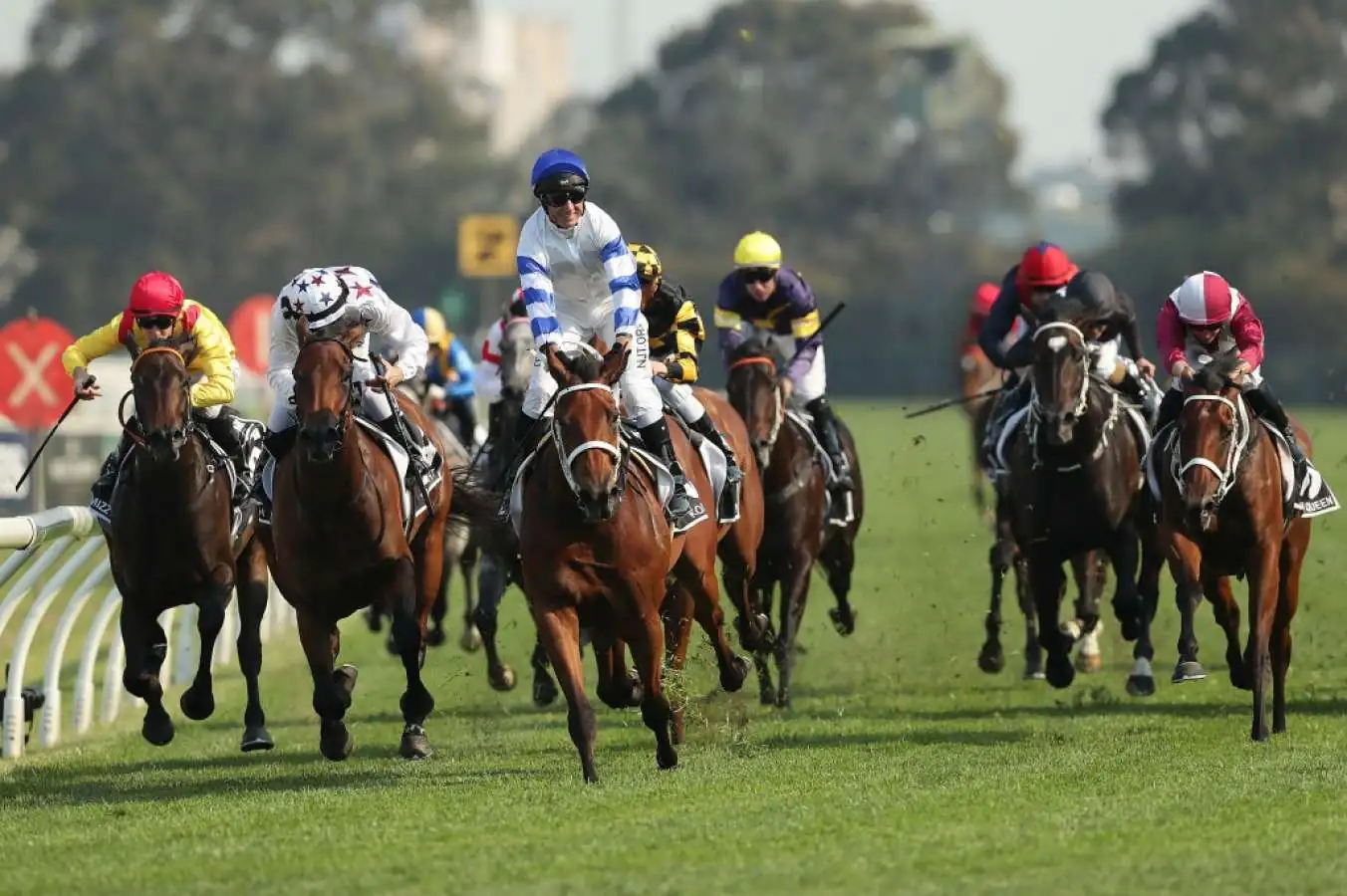 Final Field and Barriers for the $7.5 Million Golden Eagle  Image