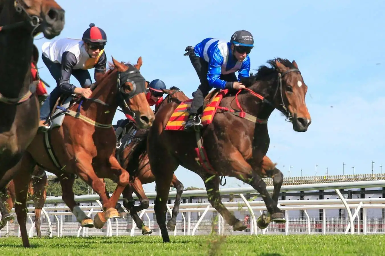 Our BlackBook & Trial Runners: Horses Running Today & Staking Plan 17/10 Image
