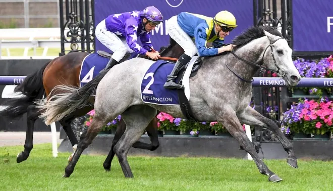 FREE: Flemington Tip Sheet & Staking Plan: Saturday 18th February Image