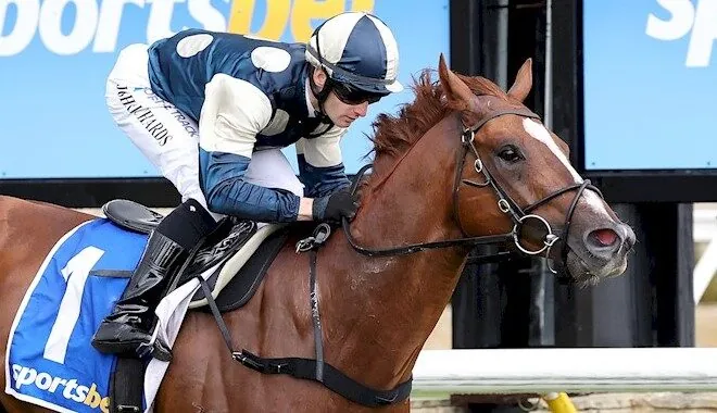 FREE: Pakenham Synthetic Tip Sheet & Staking Plan: Wednesday 4th October Image