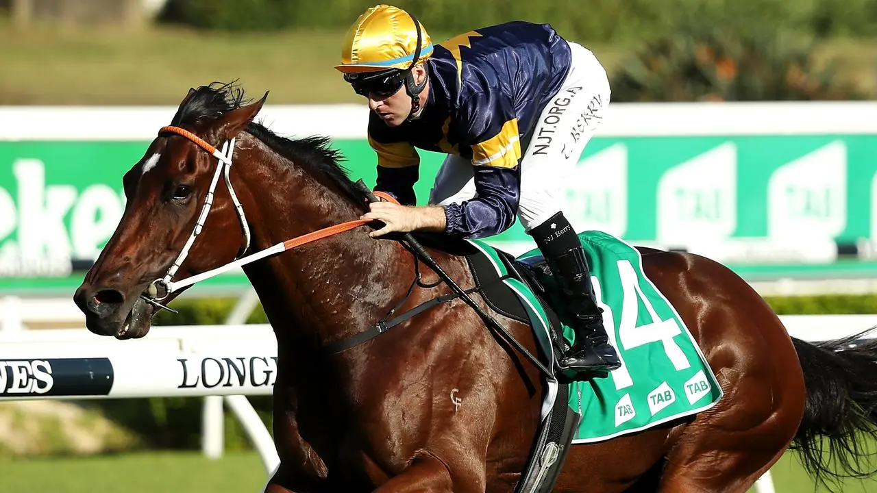 Randwick Tip Sheet & Staking Plan: Saturday 15th August Image