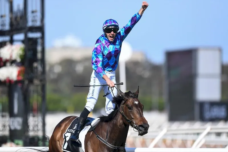 Saturday Racing Punters Club Hub & Bets 17/8 Image