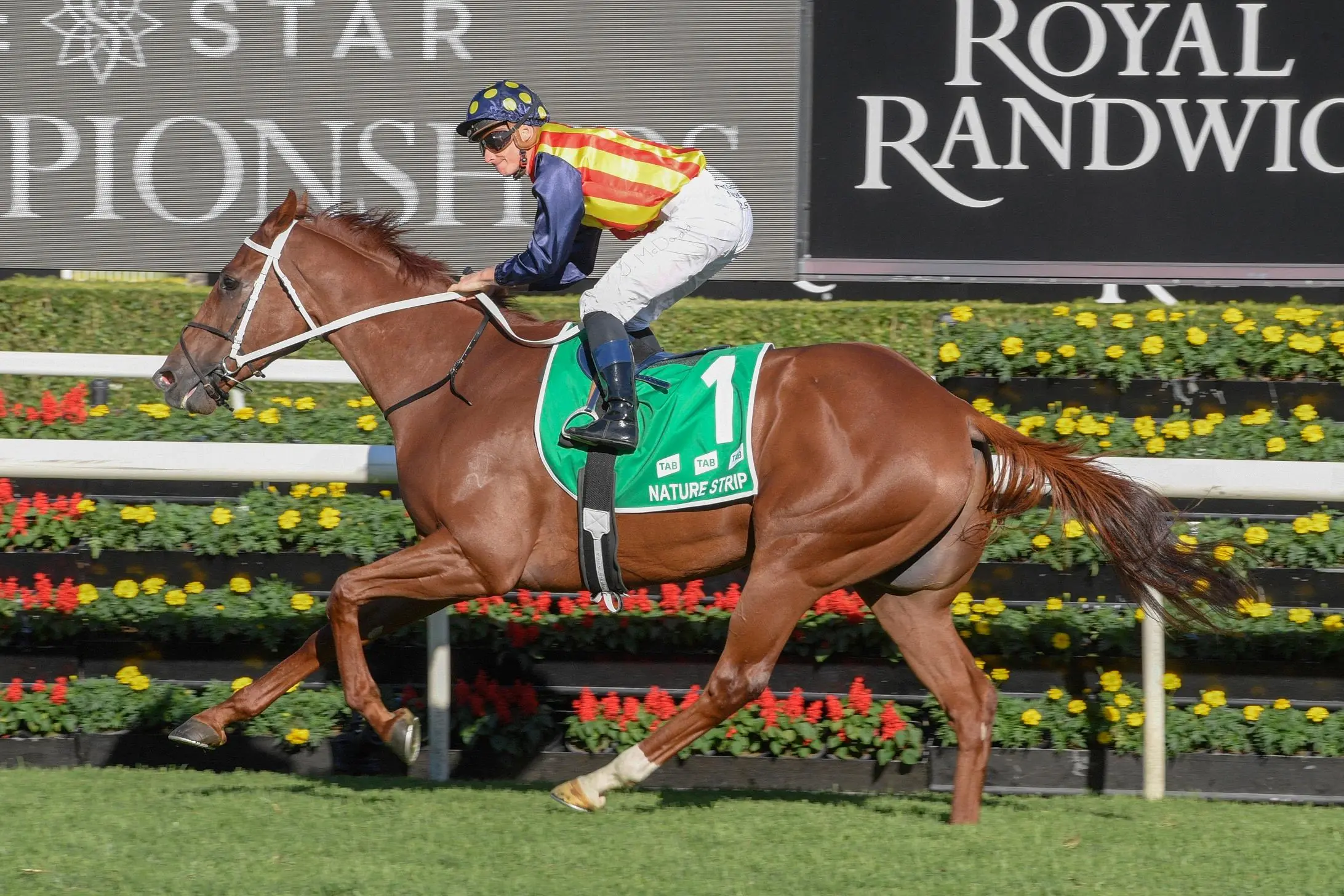 FREE: Randwick Tip Sheet & Staking Plan: Saturday 5th March Image