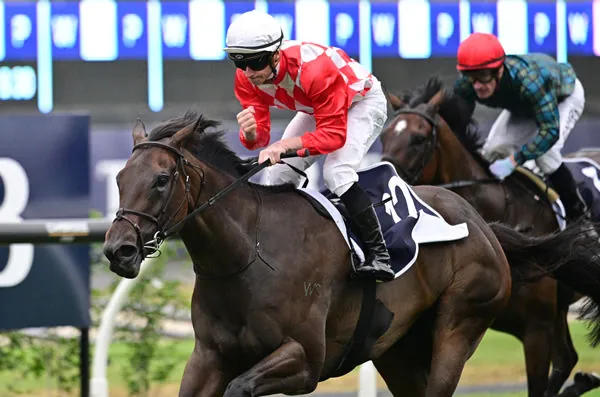FREE: Rosehill Tip Sheet & Staking Plan: Saturday 30th March Image