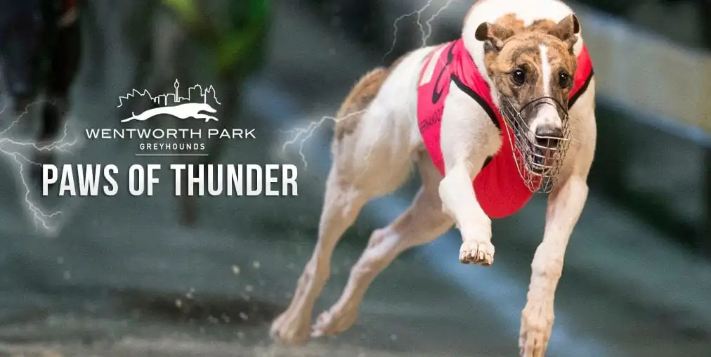 FREE: Wentworth Park Greyhounds Tip Sheet & Staking Plan 21st January Image