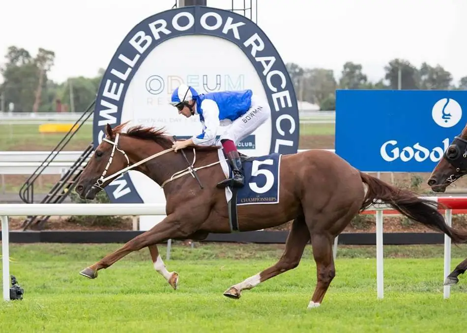 FREE: NSW Provincial & Country Service – Muswellbrook 13/8 Image
