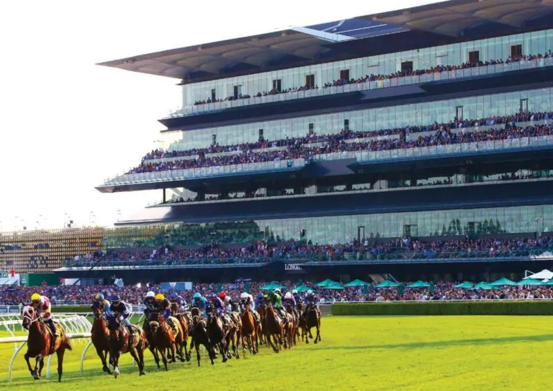 Black Book: Horses You Must Follow From Randwick 25/2 Image