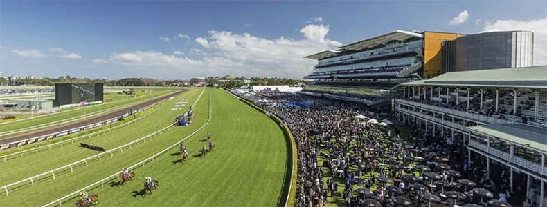 Randwick Tip Sheet & Staking Plan: Saturday 11th December Image