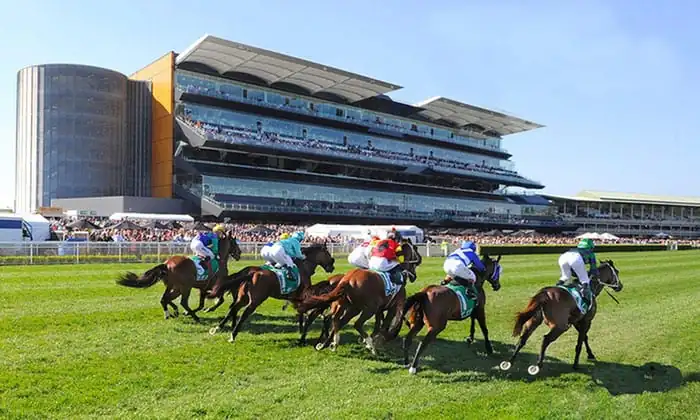 Our Black Book: Horses You Must Follow From Randwick 8/6 Image