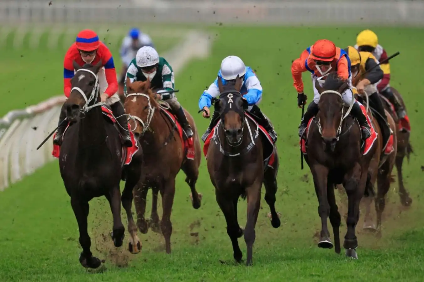 Flemington Tip Sheet & Staking Plan : Saturday 2nd September Image
