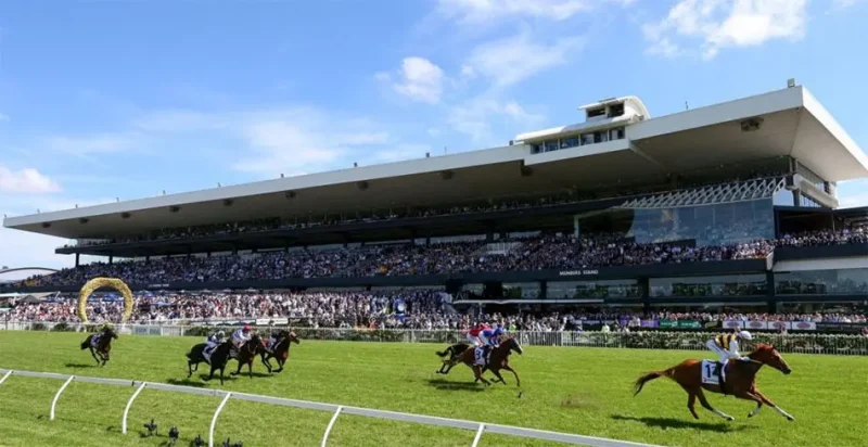 Our Black Book: Horses You Must Follow From Rosehill 17/8 Image