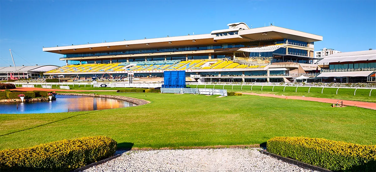 FREE: Rosehill Tip Sheet & Staking Plan: Wednesday 15th November Image