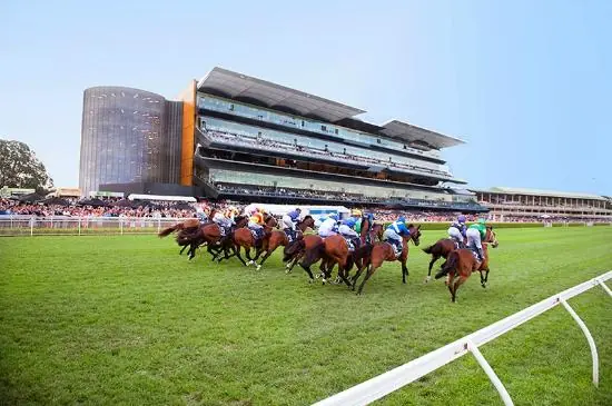 Randwick Tip Sheet & Staking Plan: Saturday 13th February Image
