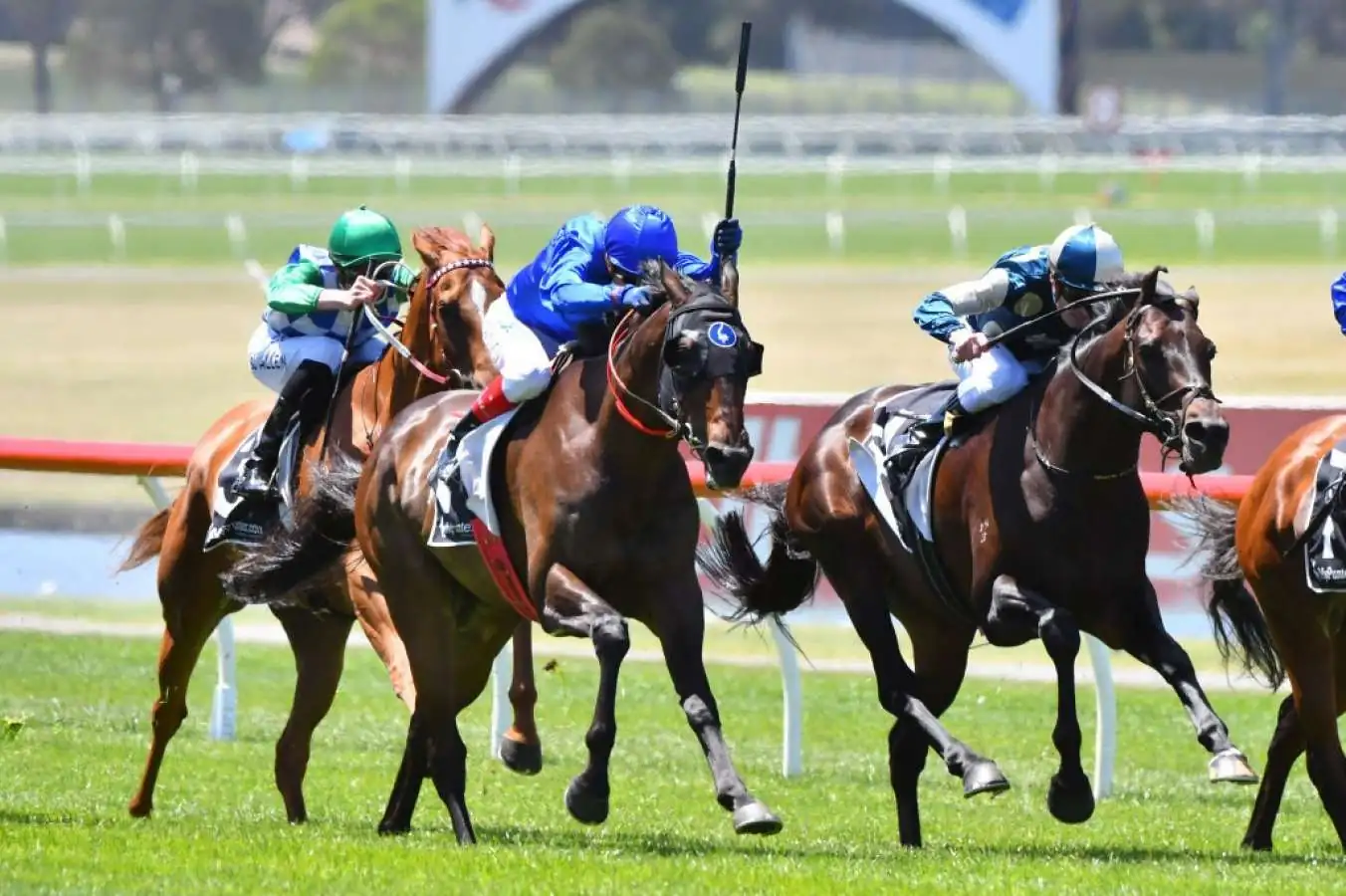 Sandown Hillside Tip Sheet & Staking Plan: Saturday 1st May Image