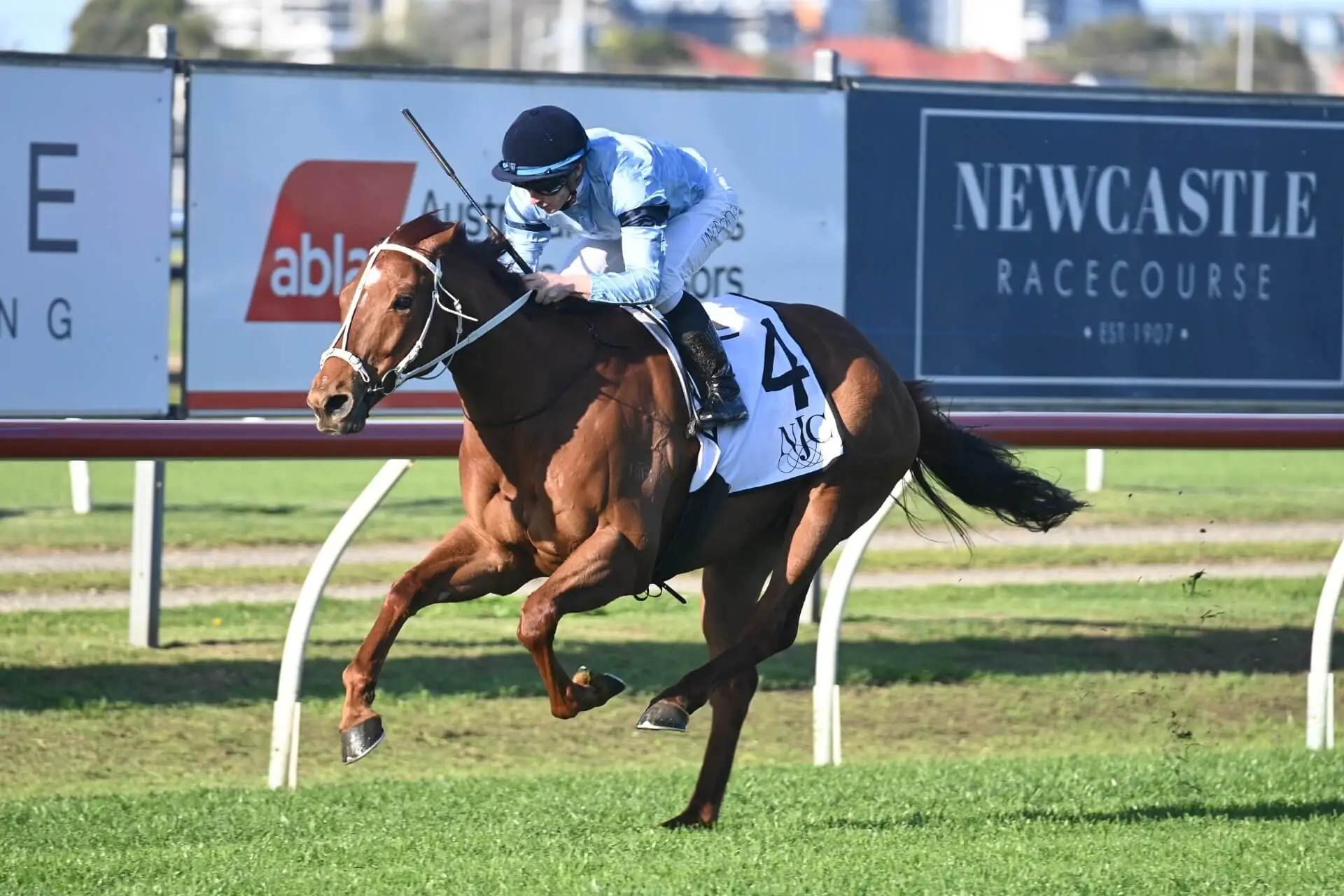 FREE: Newcastle Tip Sheet & Staking Plan: Saturday 18th November Image