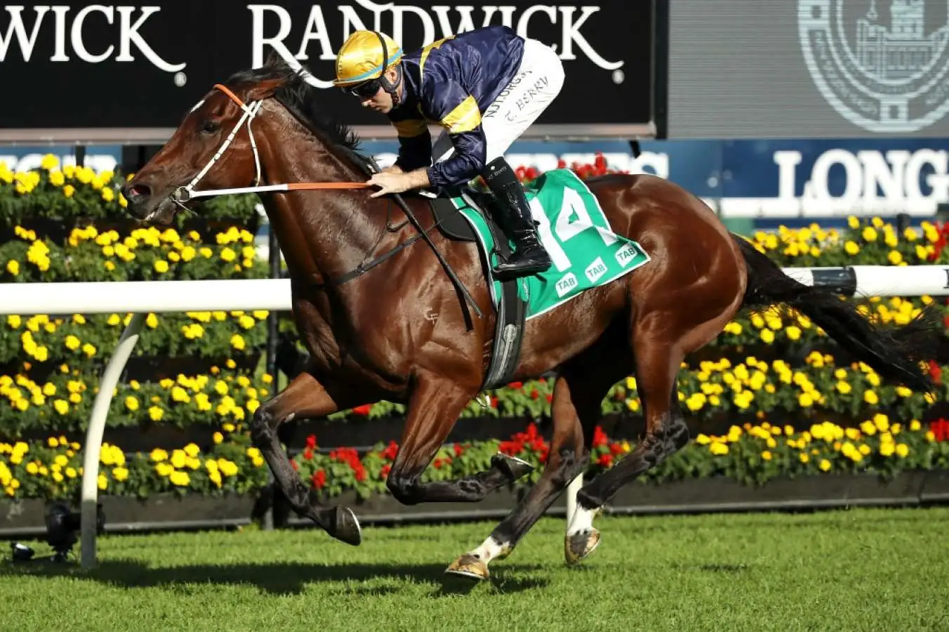 Randwick Tip Sheet & Staking Plan: Saturday 29th May Image