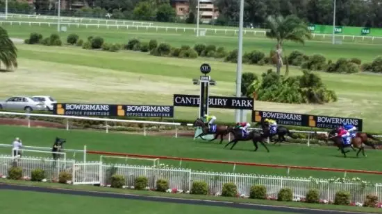 Canterbury Tip Sheet & Staking Plan: Wednesday 26th May Image