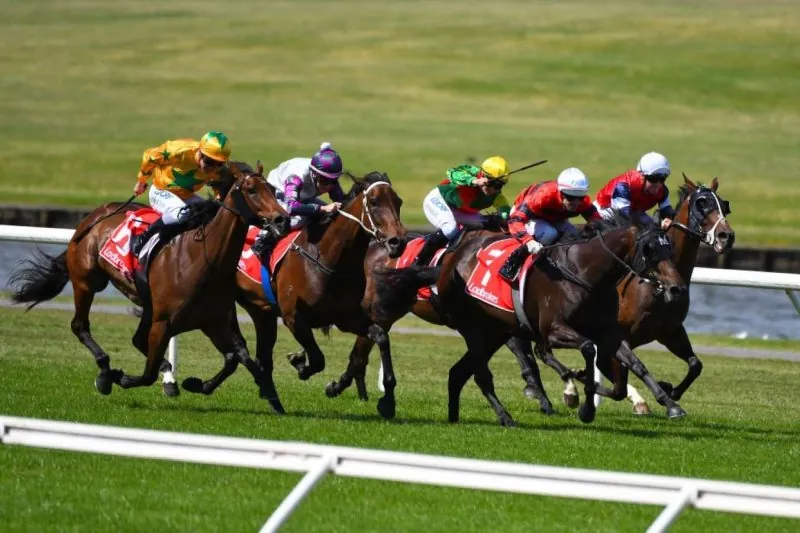 FREE: Sandown Hillside Tip Sheet & Staking Plan: Wednesday 10th January Image