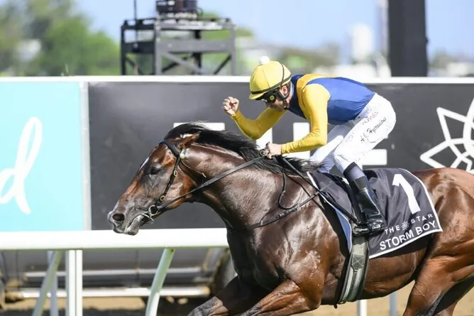 FREE: Rosehill Selections: Saturday 31st August Image