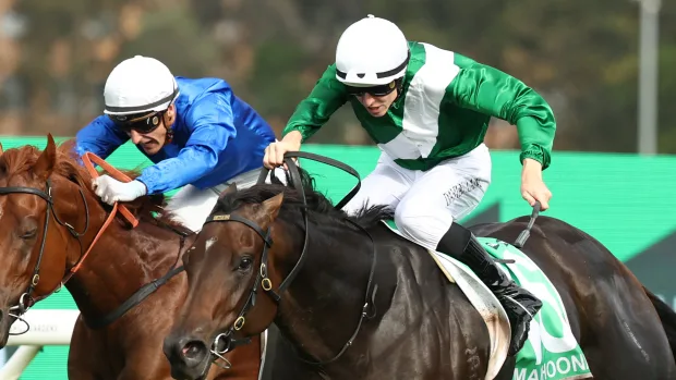 RACING: Randwick Tips – Saturday 20th September Image