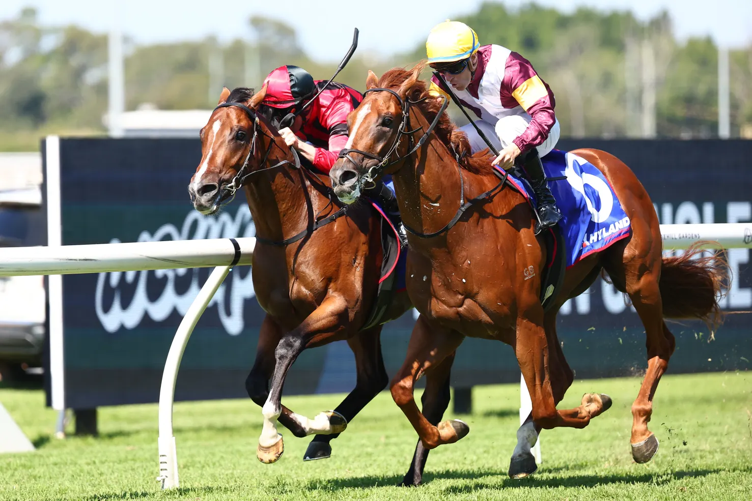 FREE: Randwick Tip Sheet & Staking Plan: Saturday 5th April Image