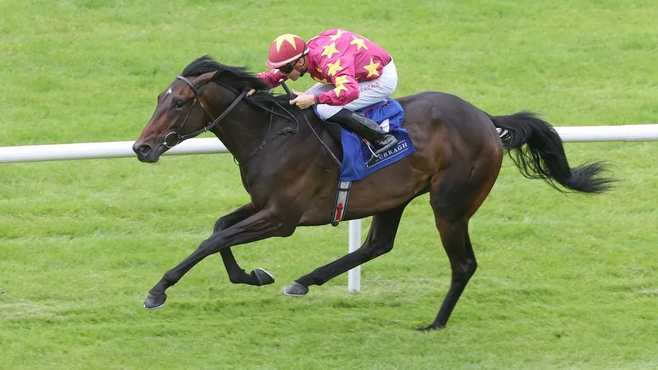 European Trainers Aiming Talented Stayers at the 2025 Melbourne Cup Image