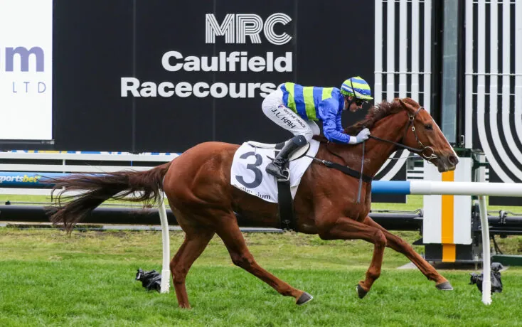 FREE: Caulfield Tip Sheet & Staking Plan: Saturday 12th July Image