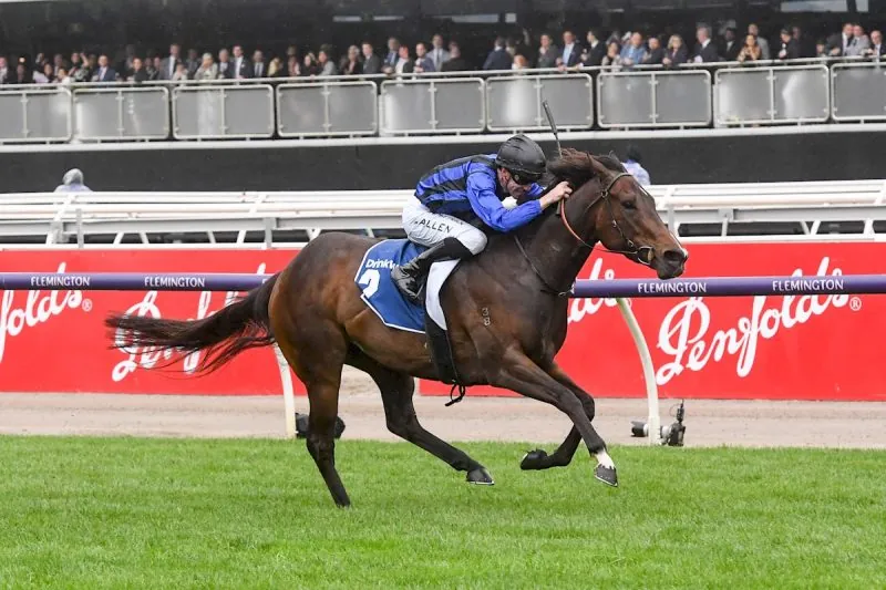 FREE: Flemington Tip Sheet & Staking Plan: Saturday 5th July Image