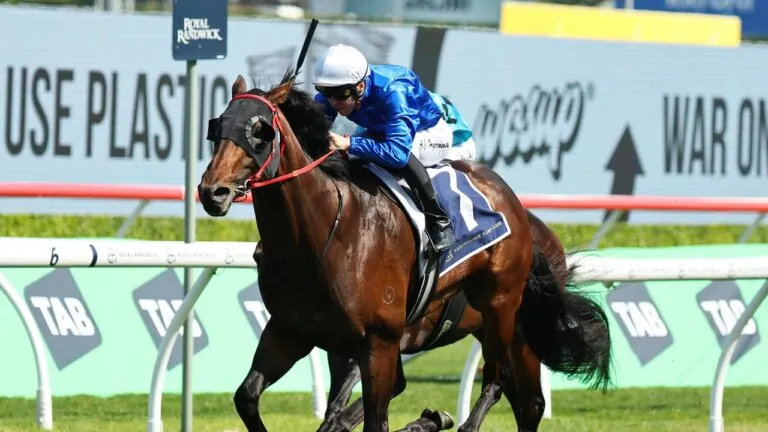 Spring Champion: Every Runner Breakdown, Tips, and Predicted Finishing Order Image