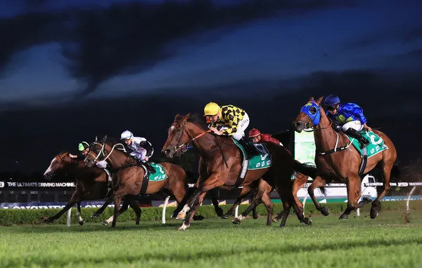 Black Book: Horses You Must Back Next Start From Canterbury 28/11 Image