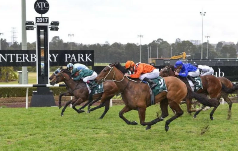 Canterbury Best Selection & Value Play 23/7 Image