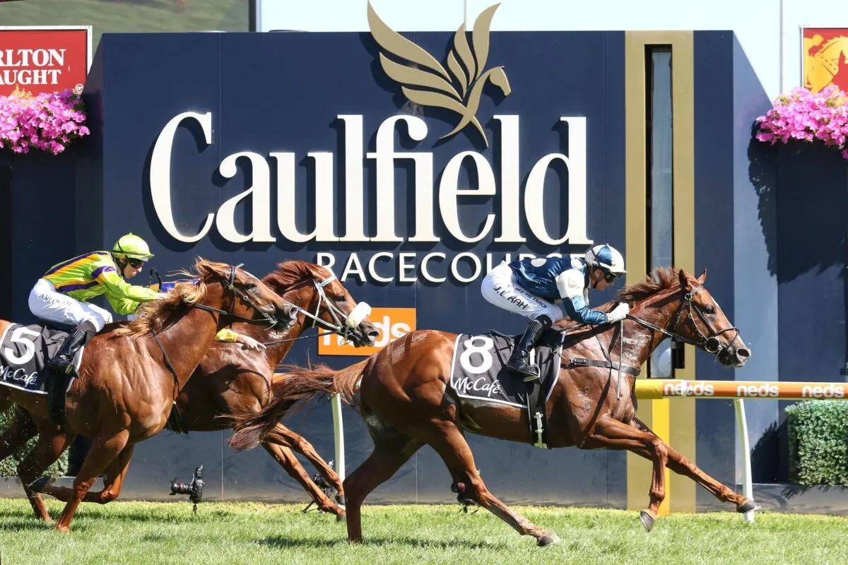 RACING: Caulfield Tips – Saturday 15th November Image