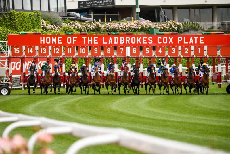 FREE: Moonee Valley Tip Sheet & Staking Plan: Saturday 22nd March Image