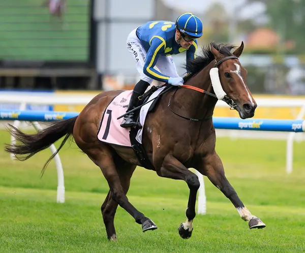 TALENTED STAYERS SET FOR NEXT SPRING Image