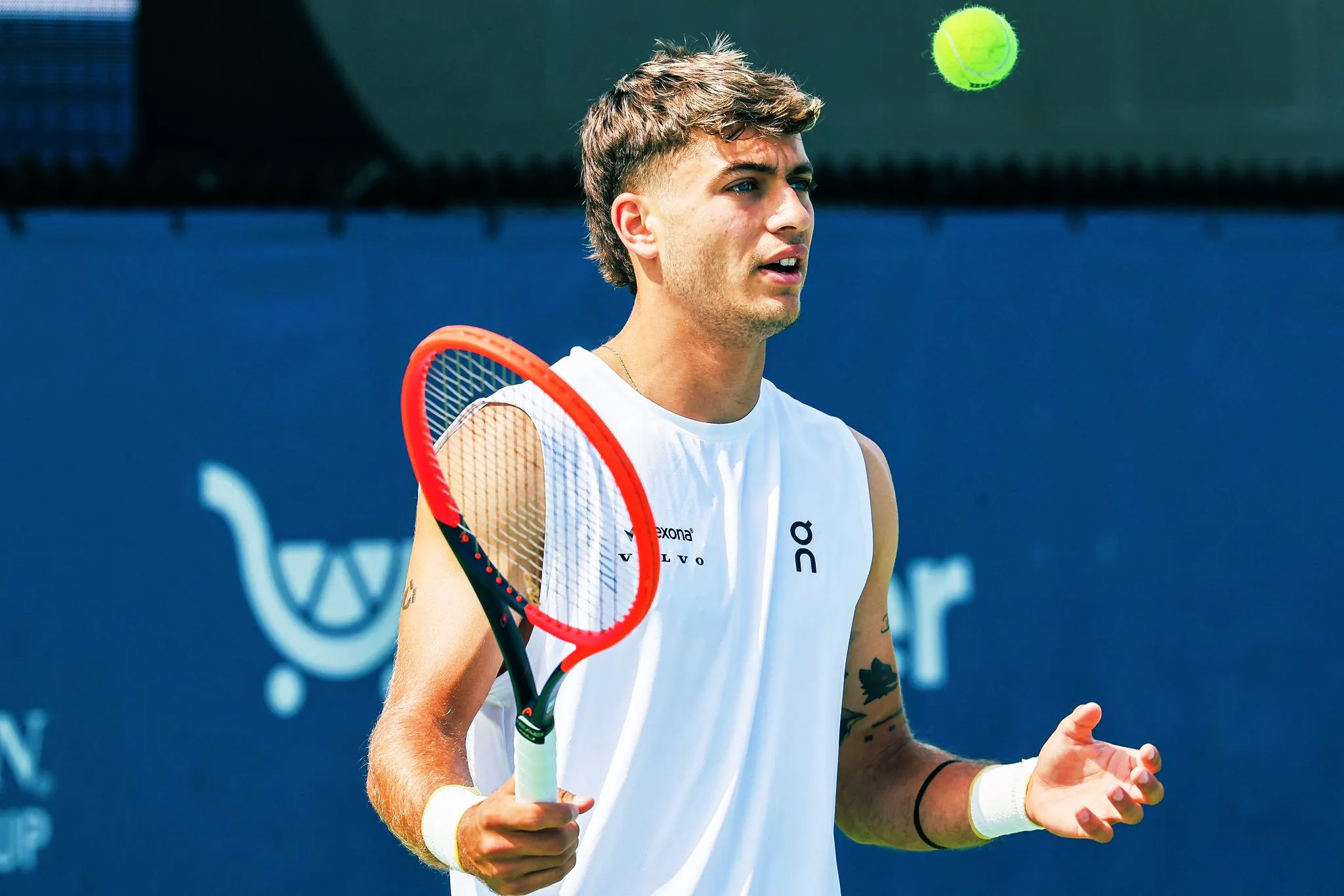 Flavio Cobolli wins 2025 Hamburg Open Image